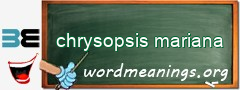 WordMeaning blackboard for chrysopsis mariana